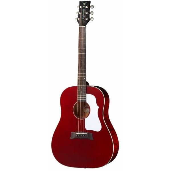 Morris アコースティックギター ギターケース、ショルダー、取説付き aw-shopping_g-021-wr