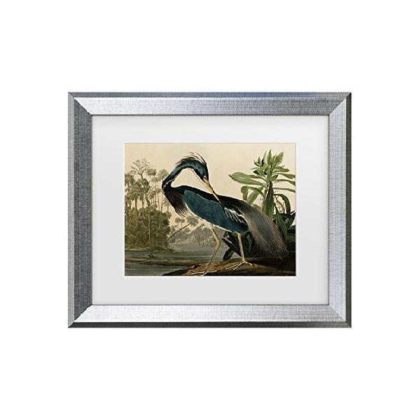 Louisiana Heron by John James Audubon, White Matte, Silver Frame 11x14-Inch