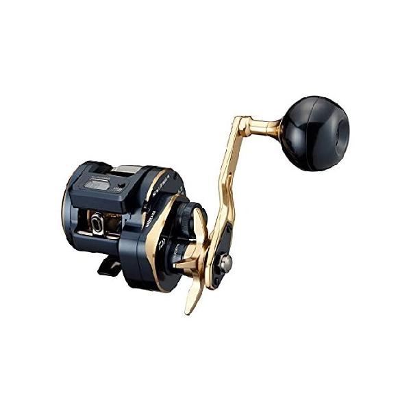 ダイワ ダイワ(DAIWA) 21 ソルティガIC 300L : AWAアウトドア - 通販