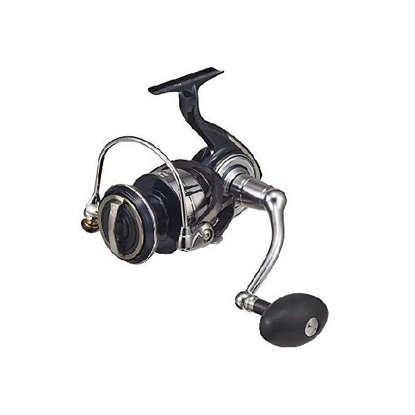 ダイワ ダイワ(DAIWA) 21 セルテートSW 8000-H : AWAアウトドア - 通販