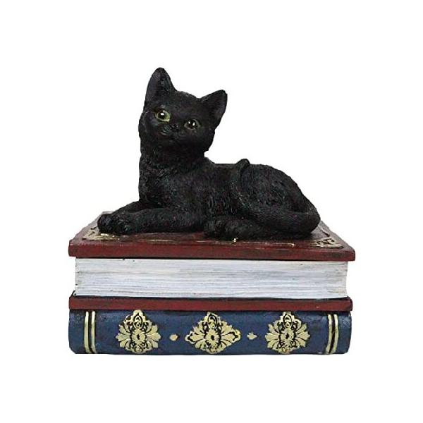 エブロス ギフト ウィッカ 魔女の時間 魔術師 呪文の本に座っている黒