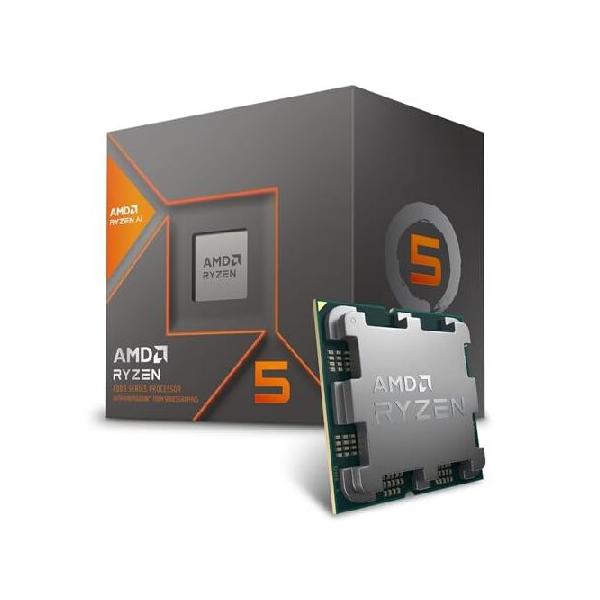 AMD Ryzen 5 8600G Boxed（100-100001237BOX）