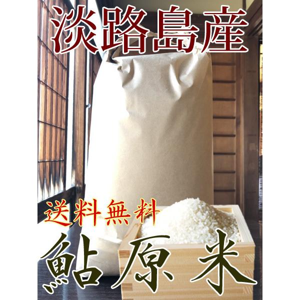 米 10kg お米 淡路島 鮎原米 キヌヒカリ 2023年新米 鮎原産100 米 10kg お米 淡路島 鮎原米 キヌヒカリ 2023年新米 鮎原産100
