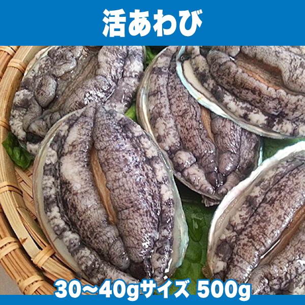 生きているから肝までお刺身品質 活あわび 30〜40gサイズ 500g