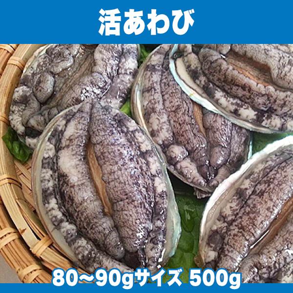 ■□生きている80〜90gサイズのあわび5粒以上 500g入り□■生きたあわびを、お届けします。当店で『活あわび』として出荷するのは、厳しい基準を満たしたあわびだけですので、とても高品質。そのため刺身としても、肝まで美味しく食べていただくこ...