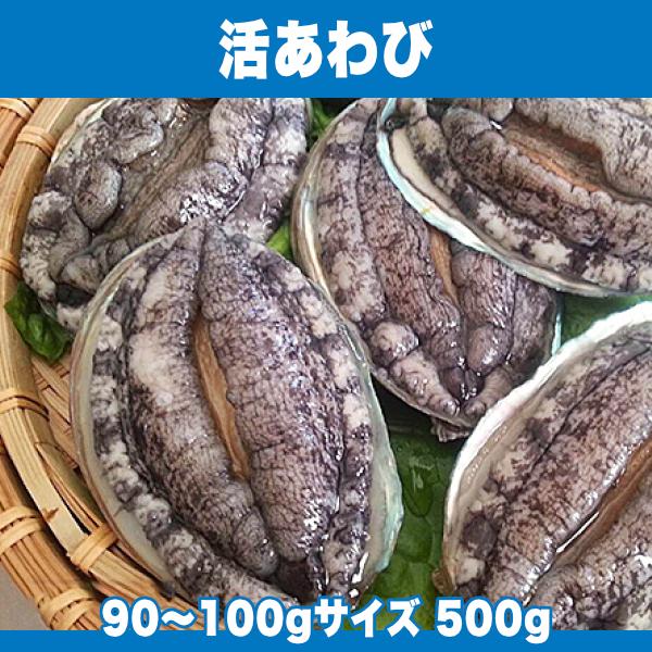 ■□生きている90〜100gサイズのあわび5粒以上 500g入り□■生きたあわびを、お届けします。当店で『活あわび』として出荷するのは、厳しい基準を満たしたあわびだけですので、とても高品質。そのため刺身としても、肝まで美味しく食べていただく...