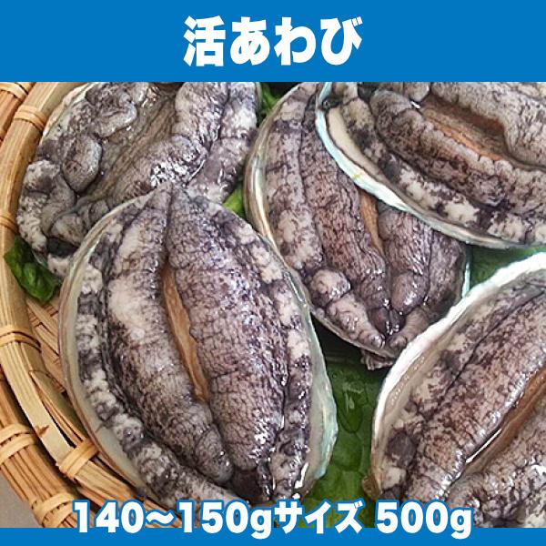 生きているから肝までお刺身品質 活あわび 140 150gサイズ 500g Buyee Buyee Japanese Proxy Service Buy From Japan Bot Online