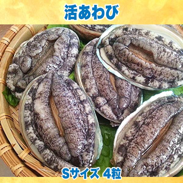■□生きているSサイズのあわび4粒入り□■ご家庭で、生きているあわびを、手軽に楽しんでみませんか？当店のあわびは、適切に管理された生簀から素早く出荷し、最短で翌日の午前中に玄関先までお届けさせていただきますので、とっても上質。そのまま捌いて...