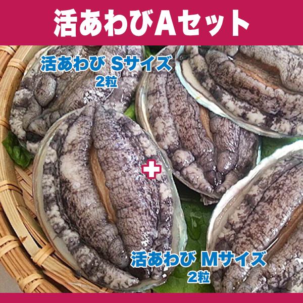 ■□■□■□あわびの色々な魅力を味わえるセット□■□■□■活あわび Sサイズ×2粒活あわび Mサイズ×2粒当店自慢のあわびをお気軽に、しかもシッカリと楽しんでいただけるよう、各商品を小分けにし組み合わせたセットです。さらにセットは、大変お求...
