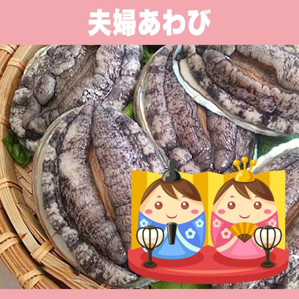 ■□縁起物の夫婦あわびを1組作成□■無事な出産と、生まれてくる子供の健康を願って、妊婦さんに送られる縁起物『夫婦あわび』。当商品（夫婦あわび）を、当店の活あわびとセットでご購入いただくことで、オスメスペアの夫婦あわびを作らせていただきます。...