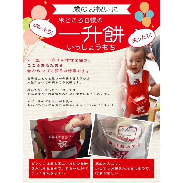 一升餅 1歳 お祝い セット 送料無料 小分け 将来の才能や職業を占う選び取りカード付き 米どころ新潟県産の最高級もち米 こがねもち 使用 誕生日 105 あわづやヤフーショッピング店 通販 Yahoo ショッピング