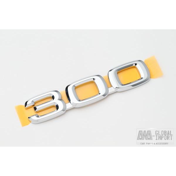 kăNTX RX300 AGu 300}[N nA[10n