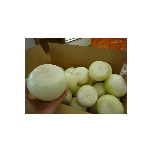 淡路産 むき玉ねぎ 10キロ 上下切り落とし 皮をむく手間が省ける