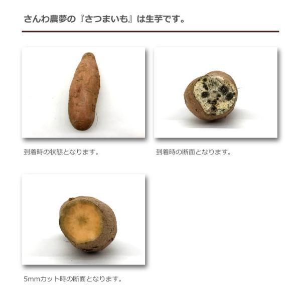 さつまいも 安納芋 弘法の恵 2kg 贈答用 ギフト さんわ農夢 香川県 産地直送 サツマイモ 薩摩芋 さつま芋 蜜芋 みつ芋 生芋 熟成芋 送料込 ネプリーグ Apaproduction Fr