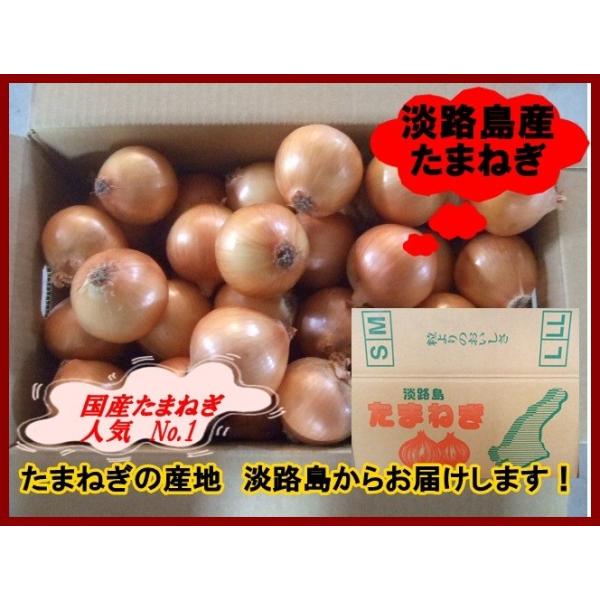 WH@ʂ˂POkg 2025NYn著ł͂܂I