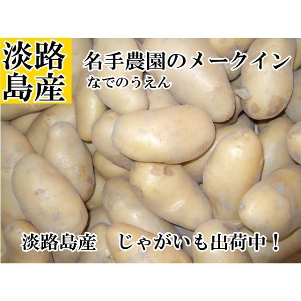 淡路島産じゃがいも！美味しいじゃがいもです。一度ご賞味下さい！