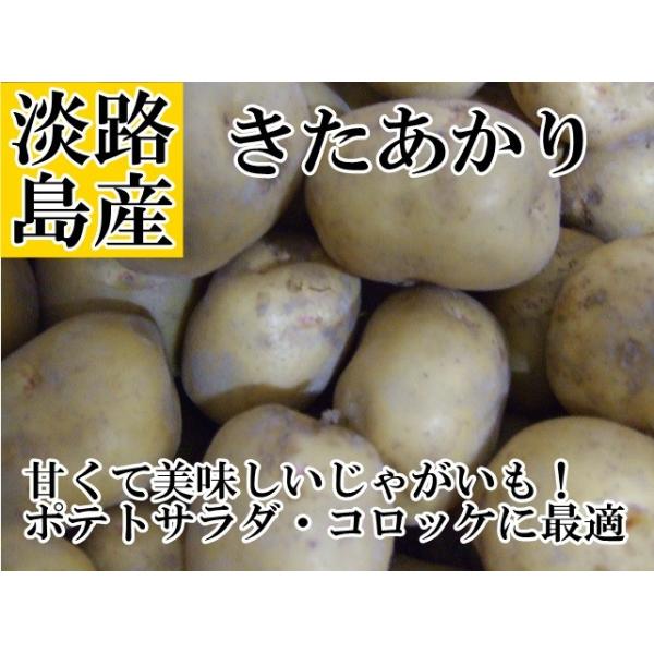WHYႪ Tkg 2025NYn著ł͂܂I