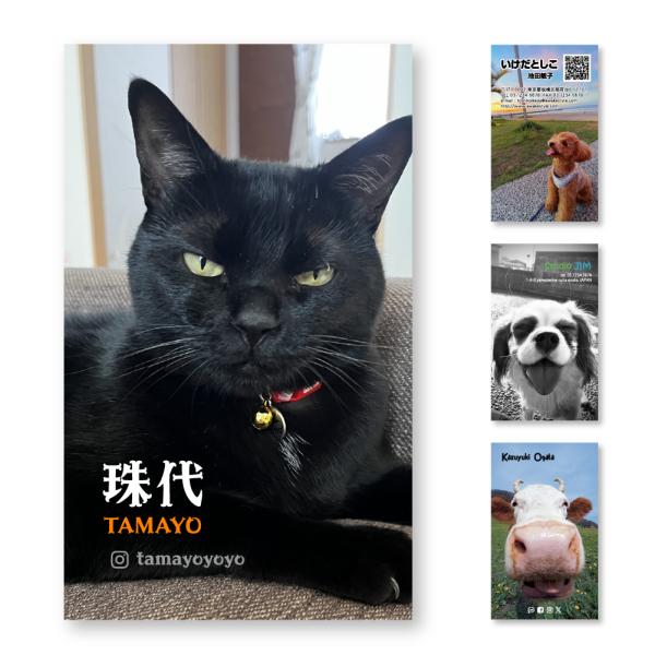 ペット 用品 おしゃれ 写真  名刺 印刷 名刺 印刷 名刺 作成Buisiness cardShop card写真を前面に配置した デザインの名刺です。お気に入りの写真とSNSの情報の名刺やショップカードなどにいかがでしょうか？■　イメー...