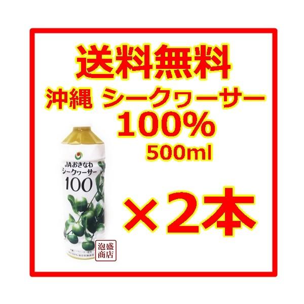 ※賞味期限2026年11/30※※シークヮーサー  シークワーサージュース 100％ 原液  JA沖縄  500ml  2本,,   　ノビレチン  青切り