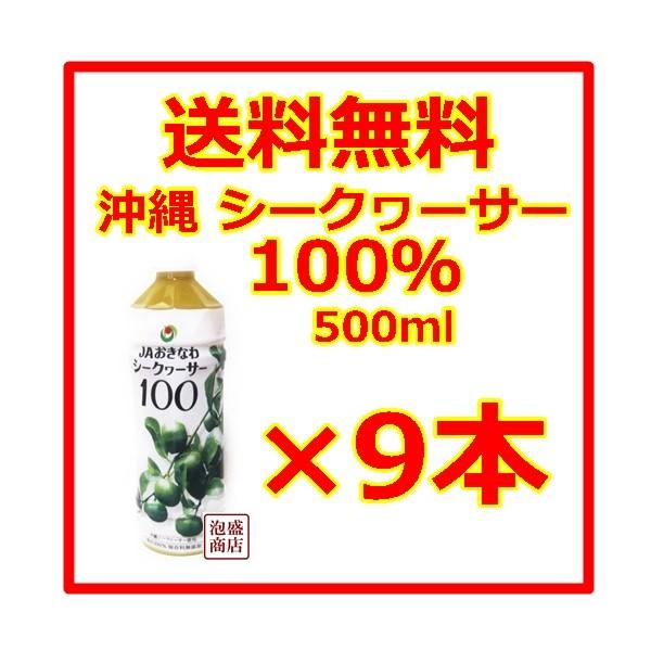 賞味期限2026年11/30※※シークヮーサー シークワーサージュース 100