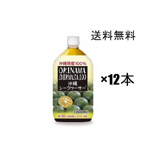 シークヮーサ− 原液  オキハム  お手軽な1Lペット×12本(2ケース)  シークワーサー 青切り