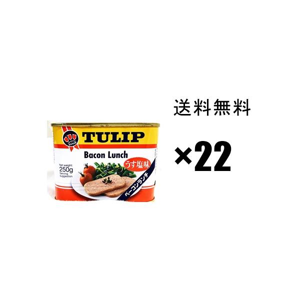 チューリップポーク 「ベーコンランチ」×22缶セット 沖縄缶詰 : 沖縄お