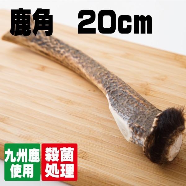 鹿の角（大）