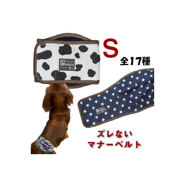 ペット✩犬✩マナーベルトオーダー用 サンプル（確認用）チワワ manner-belt-kinoko.jpg?fitin=