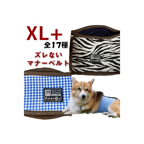 awandy_mannerbelt-n-xlplus