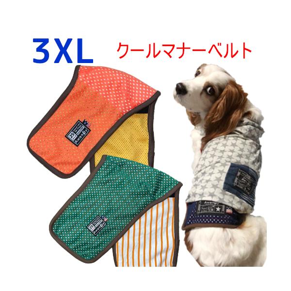 awandy_mannerbelt-s-3xl