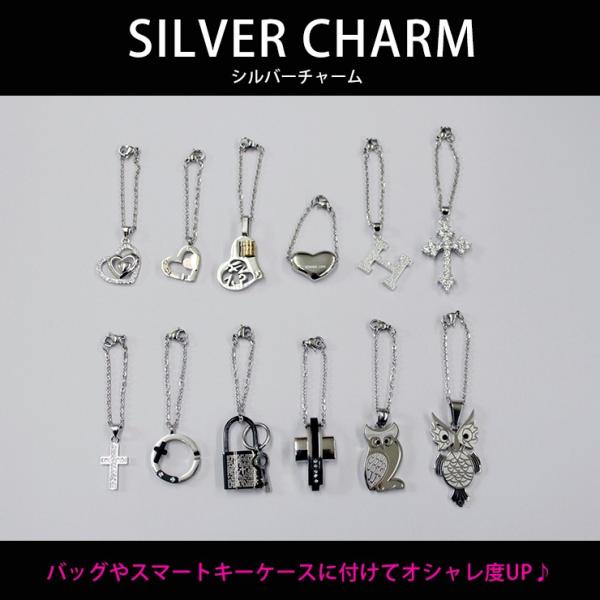 awesome-japan_silver-charm