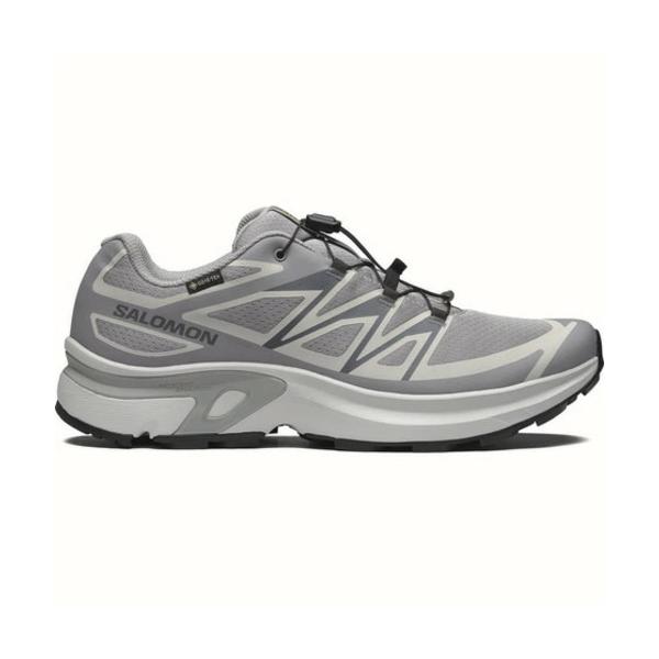 SALOMON(サロモン) XT-EVR GTX M L49143800 Col.ALLOY/LUNAR ROCK/BLACK 26年春夏モデル