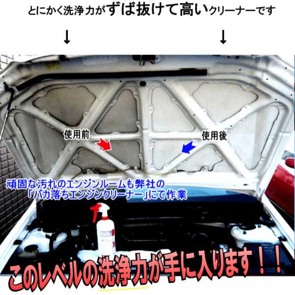 洗浄力1位 超強力 クリーナー エンジン 洗剤 洗車 車 用 汚れ 落し 取り 油 パーツ オイル グリス ガン 液体 ブレーキ バカ落ちエンジン クリーナー 1lセット Buyee Buyee Japanese Proxy Service Buy From Japan Bot Online