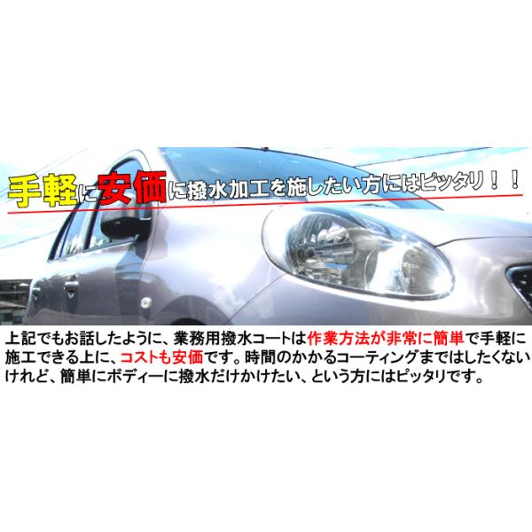 車用 撥水コート スプレー コーティング剤 ガラス 洗車 カーワックス WAX 剤 最強 業務用 カーボディー 液体 車 プロ 用 光沢 艶【業務用撥水コート(2Lセット)】 /【Buyee】 車用 撥水コート スプレー コーティング剤 ガラス 洗車 カーワックス WAX 剤 最強 業務用 カーボディー 液体 車 プロ 用 光沢 艶【業務用撥水コート(2Lセット)】 /【Buyee】