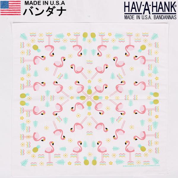 axs-sanshin_havahank--33