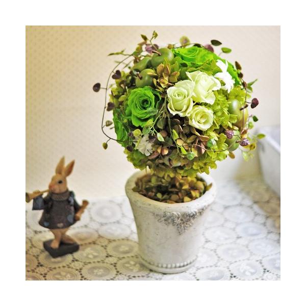 グリーンアレンジメント 夏のギフトにも 青りんごとローズのトピアリー Pomme Vert プリザーブドフラワーアレンジメント Buyee Buyee 日本の通販商品 オークションの代理入札 代理購入