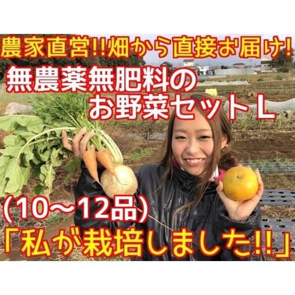 綾善特製の無農薬野菜セットのＬサイズです。旬の野菜を10〜12品お送り致します。スタンダードな野菜も綾善では品種にそして育て方にこだわっています。安全で美味しいものだからこそ毎日食べていただきたい。そんな気持ちをこめ、量も充分満足頂けるセッ...