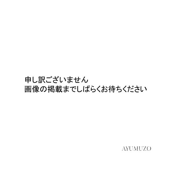 書道筆・熊野筆　一休園　九法筆　白毛　兼毫