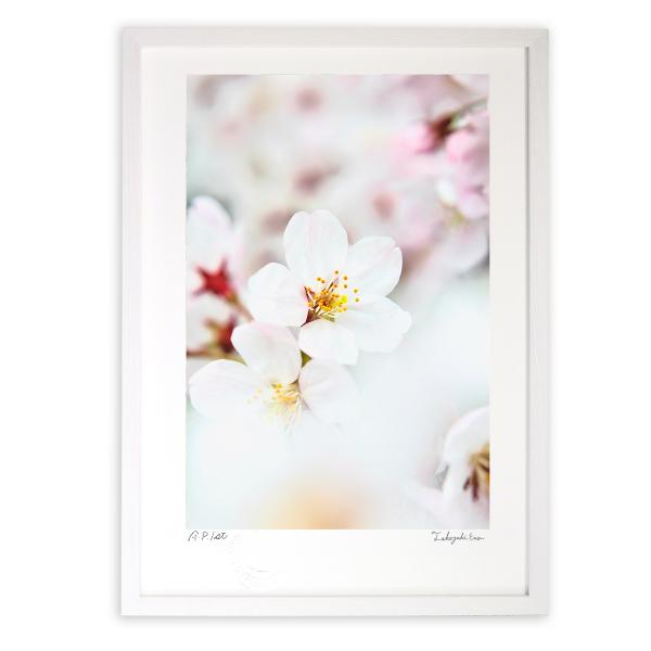 ŉ G 2015 A[gtHg Ǌ| z MTCY