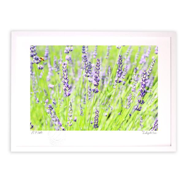 ŉ G x_[() A[gtHg Ǌ| z MTCY