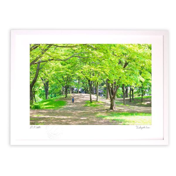 ŉ G t삯() A[gtHg Ǌ| z MTCY