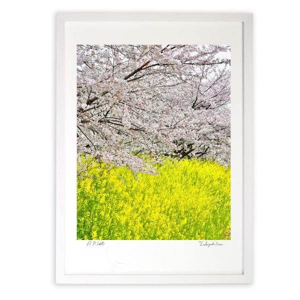 ŉ G ƍ؂̉2017 A[gtHg Ǌ| z MTCY