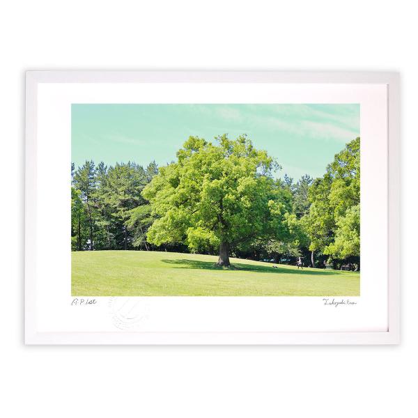 ŉ G VΌU A[gtHg Ǌ| z MTCY