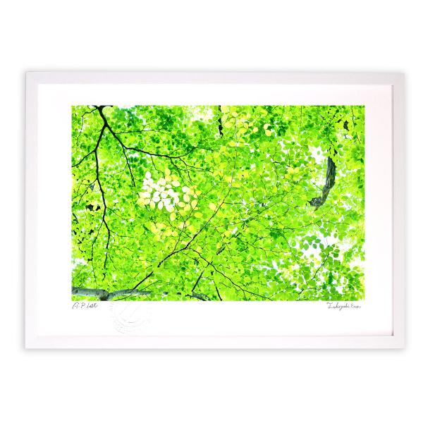 ŉ G т̃X|bgCg() A[gtHg Ǌ| z MTCY