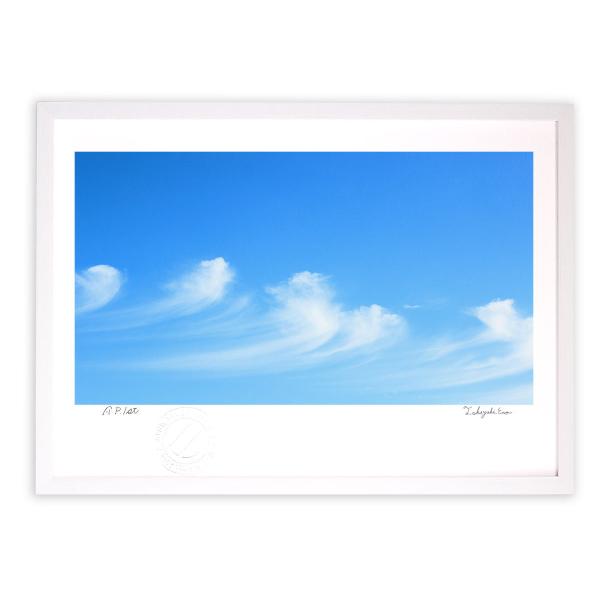 ŉ G ̃Y A[gtHg Ǌ| z MTCY