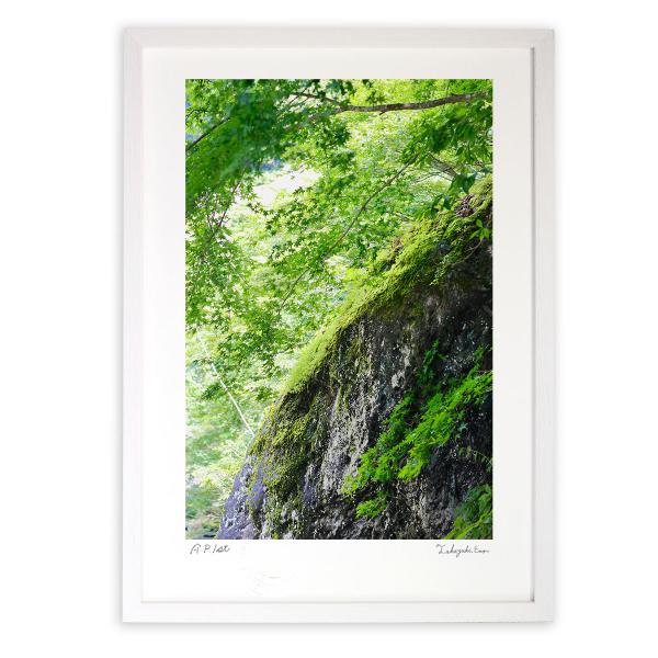 ŉ G ȉĎR A[gtHg Ǌ| z MTCY