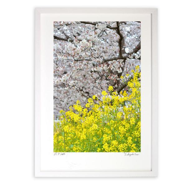 ŉ G ƍ؂̉2021(c) A[gtHg Ǌ| z MTCY