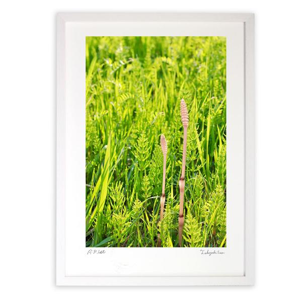 ŉ G tAB A[gtHg Ǌ| z MTCY