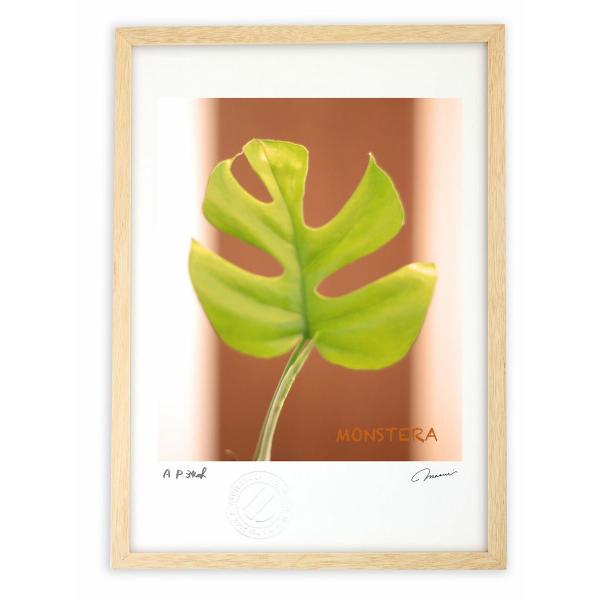 ŉ G Xe̐Ԃ t t Ǌ|  CeA 