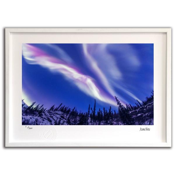 ŉ G I[001 AXJ xc G Ǌ| Ǐ CeA G  A[gpl |X^[ G z rO 